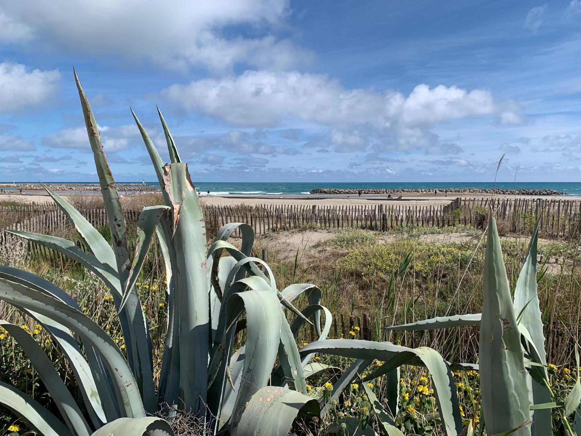 Sete - Vue Mer Imprenable, Piscine, Calme Exteriér fotografie